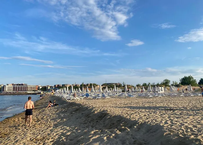 Itta 05 Sunny Daire *